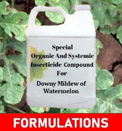 Formulations And Production Process of Organic And Systemic Fungicide Compound For Downy Mildew of Watermelon