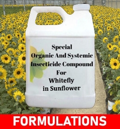 Formulations And Production Process of Organic And Systemic Insecticide Compound For Whitefly in Sunflower