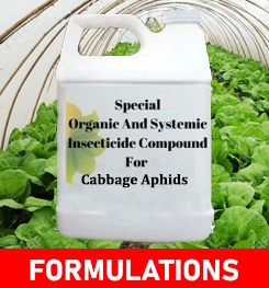 Formulations And Production Process of Organic And Systemic Insecticide Compound For Cabbage Aphids