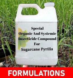 Formulations And Production Process of Organic And Systemic Insecticide Compound For Sugarcane Pyrilla