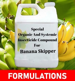 Formulations And Production Process of Organic And Systemic Insecticide Compound For Banana Skipper