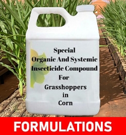 Formulations And Production Process of Organic And Systemic Insecticide Compound For Grasshoppers in Corn