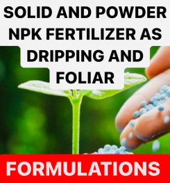 SOLID AND POWDER NPK FERTILIZER AS DRIPPING AND FOLIAR FORMULATIONS AND PRODUCTION PROCESS