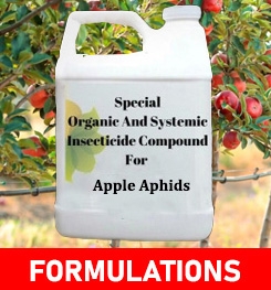 Formulations And Production Process of Organic And Systemic Insecticide Compound For Apple Aphids