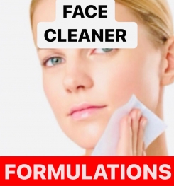 FACE CLEANER FORMULATIONS AND PRODUCTION PROCESS