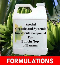 Formulations And Production Process of Organic And Systemic Fungicide Compound For Bunchy Top of Banana