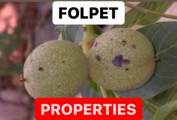 FOLPET PROPERTIES | FOLPET DEFINITION | FOLPET MEANING