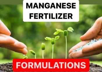 WHAT IS MANGANESE FERTILIZER | BENEFITS OF MANGANESE FERTILIZERS