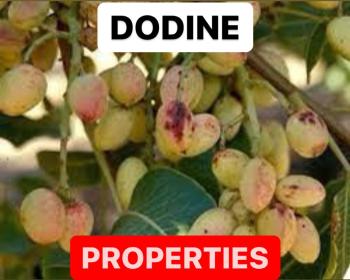 DODINE PROPERTIES | MEANING OF DODINE | DEFINTION OF DODINE
