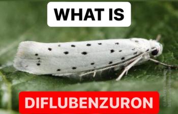 WHAT IS DIFLUBENZURON | DEFINITION OF DIFLUBENZURON