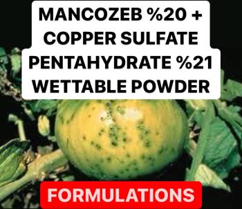 MANCOZEB % 20  + COPPER SULFATE PENTAHYDRATE % 21 WETTABLE POWDER ( WP ) FUNGICIDE PRODUCTION PROCESS