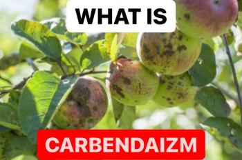 WHAT IS CARBENDAZIM |  FUNGICIDE FORMULATIONS