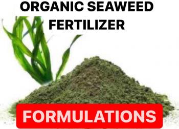 HOW TO MAKE SOLID SEAWEED FERTILIZER | PRODUCTION PROCESS