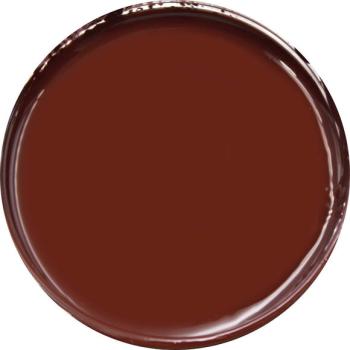 Composition and compound of brown color polyurethane pigment paste | Solvent Free