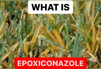 WHAT IS EPOXICONAZOLE | DEFINITION OF EPOXICONAZOLE