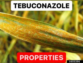 TEBUCONAZOLE PROPERTIES | FUNGICIDE PRODUCTION PROCESS