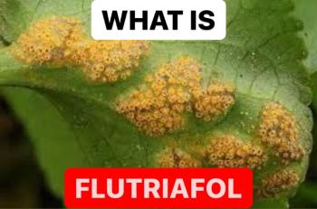 WHAT IS FLUTRIAFOL | PROPERTIES OF FLUTRIAFOL