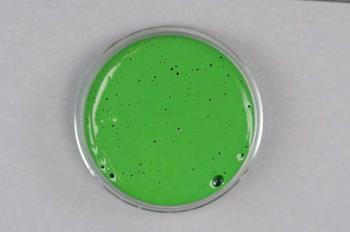 How to make water based and acrylic light green pigment paint paste