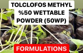 TOLCLOFOS METHYL % 50 WETTABLE POWDER ( 50 WP ) | FUNGICIDE FORMULATIONS