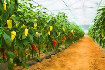 Production process of disinfectant for greenhouse plants with formulations