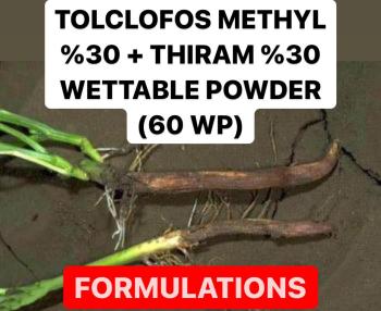 TOLCLOFOS METHYL % 30  + THIRAM % 30 WETTABLE POWDER ( 60 WP ) | FUNGICIDE FORMULATIONS