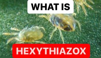 WHAT IS HEXYTHIAZOX | INSECTICIDE PRODUCTION PROCESS