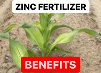 WHAT IS ZINC FERTILIZER | PREPARATION OF ZINC FERTILIZER