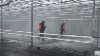 Surface disinfectant and cleaner for plant greenhouse composition and compound