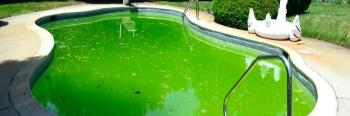 Formulations of algae inhibitor for swimming pools | Chemicals