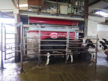 How to make peracetic acid based disinfectants and cleaners for dairy farm