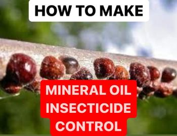 HOW TO MAKE MINERAL OIL INSECTICIDE CONTROL | FORMULATIONS