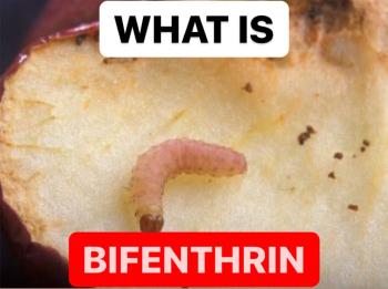 WHAT IS BIFENTHRIN | INSECTICIDE PRODUCTION PROCESS