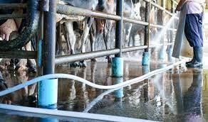How to make multi purpose disinfectant and cleaner for dairy farm