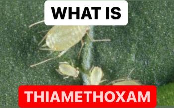 WHAT IS THIAMETHOXAM | PROPERTIES OF THIAMETHOXAM