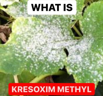 WHAT IS KRESOXIM METHYL | DEFINITION OF KRESOXIM METHYL