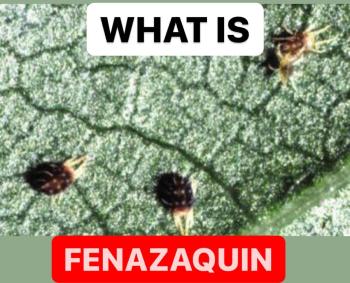 WHAT IS FENAZAQUIN | FENAZAQUIN PROPERTIES | INSECTICIDE