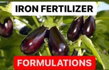 PRODUCTION OF IRON FERTILIZERS | FORMULATION OF IRON FERTILIZER