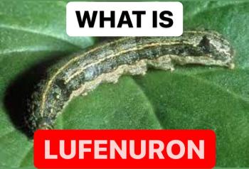 WHAT IS LUFENURON | LUFENURON PROPERTIES