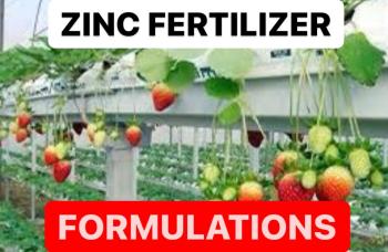 MAKING ZINC FERTILIZERS | FORMULATION OF ZINC FERTILIZER