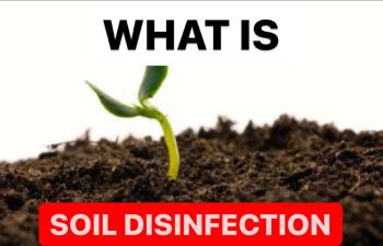 WHAT IS SOIL DISINFECTION | FORMULATION OF SOIL DISINFECTION CHEMICALS