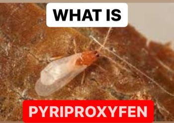 PYRIPROXYFEN | INSECTICIDE FORMULATIONS | PRODUCTION PROCESS