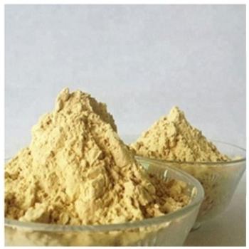Chemicals and ingredients of dextrin adhesive powder | manufacturing process