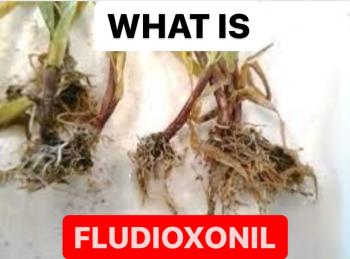 WHAT IS FLUDIOXONIL | DEFINITION OF FLUDIOXONIL