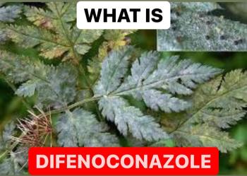 WHAT IS DIFENOCONAZOLE | DESCRIPTION OF DIFENOCONAZOLE