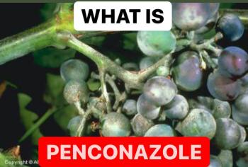 WHAT IS PENCONAZOLE | PROPERTIES OF PENCONAZOLE