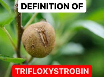 DEFINITION OF TRIFLOXYSTROBIN | PROPERTIES OF TRIFLOXYSTROBIN