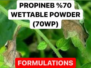 PROPINEB % 70 WETTABLE POWDER ( 70 WP ) FUNGICIDE |  PRODUCTION PROCESS