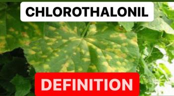 CHLOROTHALONIL DEFINITION | PROPERTIES OF CHLOROTHALONIL