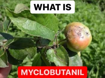 WHAT IS MYCLOBUTANIL | DEFINITION OF MYCLOBUTANIL