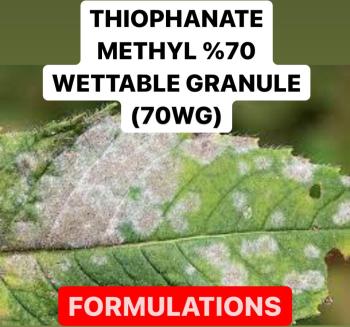THIOPHANATE METHYL % 70 WETTABLE GRANULE ( 70 WG ) | FUNGICIDE PRODUCTION PROCESS